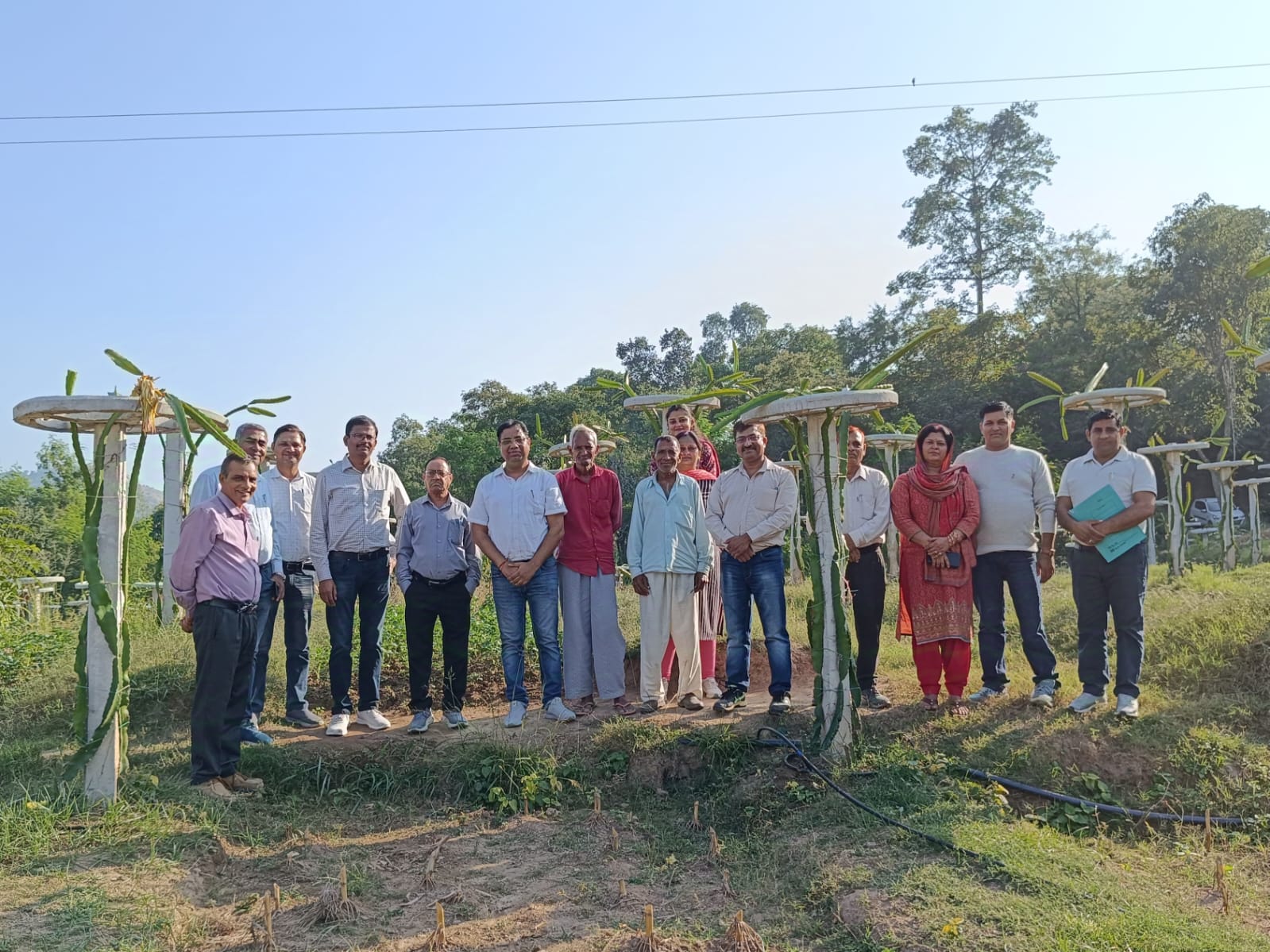 The team of Jal Shakti Ministry visited the dragon fruit garden in Pipli